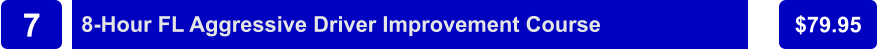 8-Hour FL Aggressive Driver Improvement Course $79.95 7